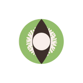 I-Contact Cosplay Halloween Contact Lenses Reptile